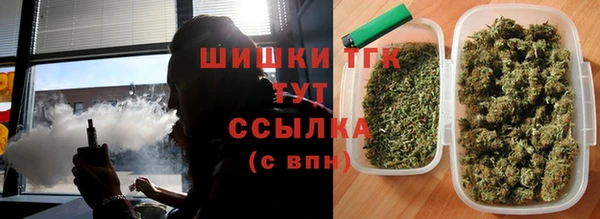 трава Новозыбков