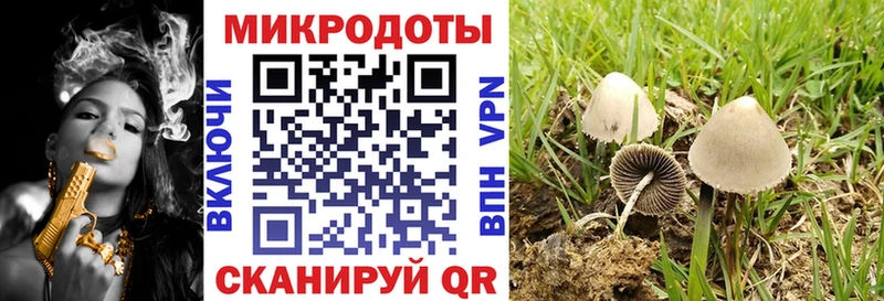Галлюциногенные грибы Psilocybine cubensis  Купить закладки  Пугачёв 