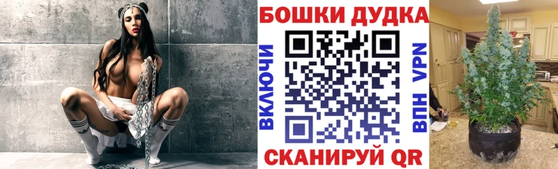 Купить  Пугачёв  Шишки марихуана семена 